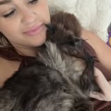 Maine Coon kitten held by family